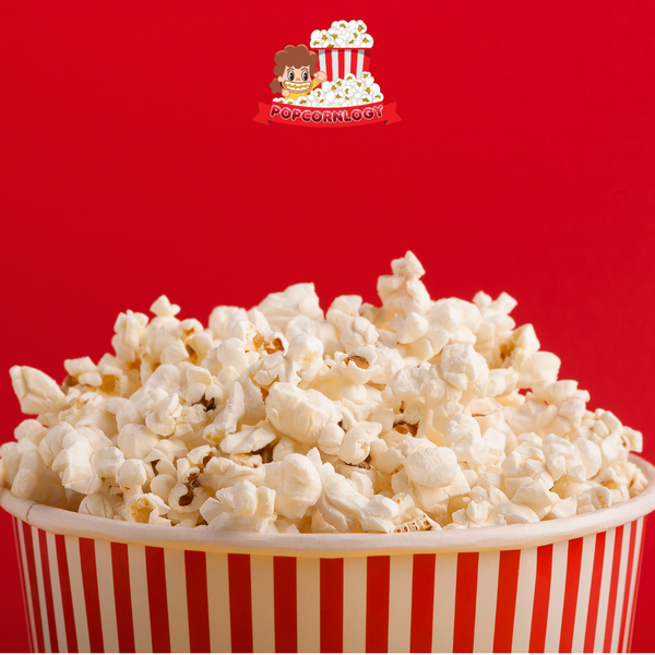 Popcornlogy-海苔味爆米花
